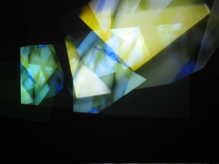 Night Light: Multimedia Garden Party