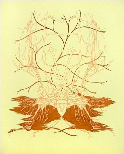 The Biomimicry Project