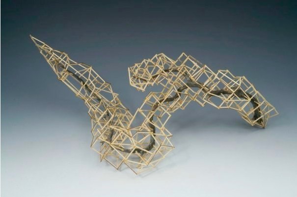 The Biomimicry Project