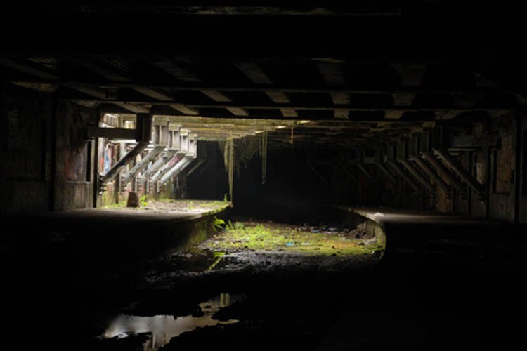 Constructed Landscapes