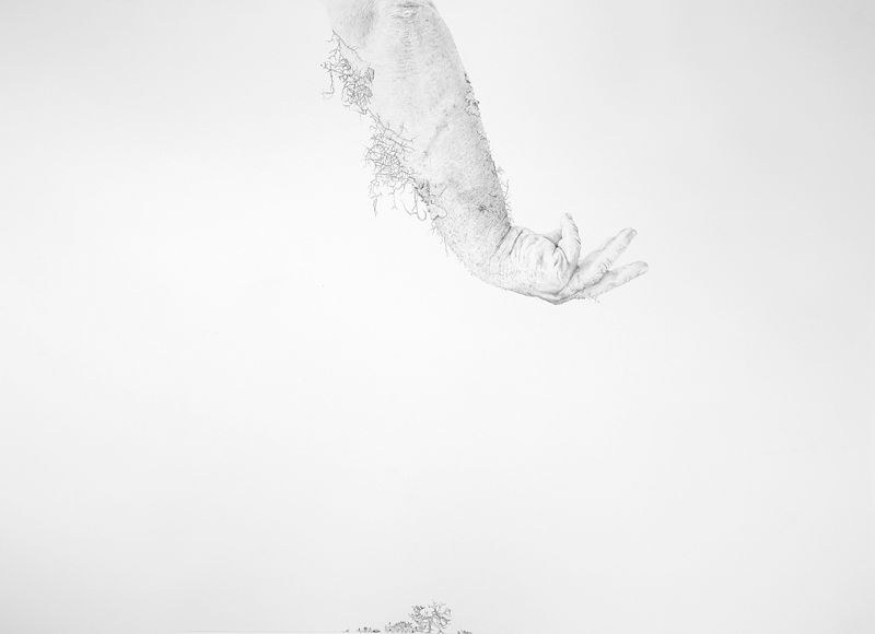 Kin