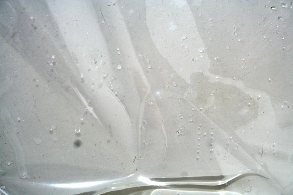 Isn’t It Obvious? San Francisco Artists Consuming the Banal