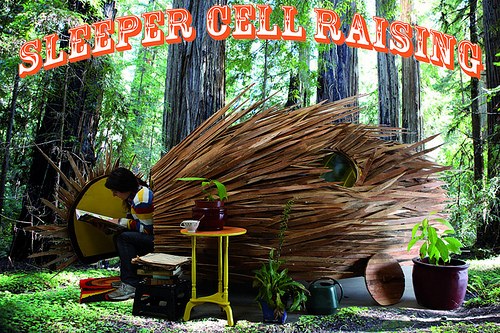 San Francisco Dump Artist in Residence Exhibitions