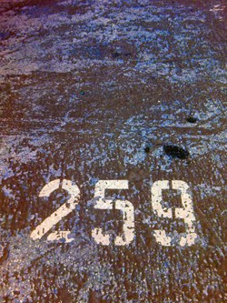 Watermark Display