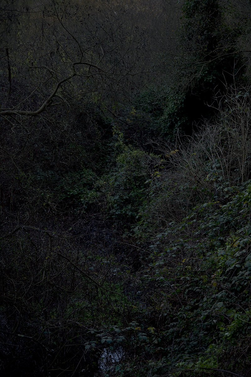 Viewshed