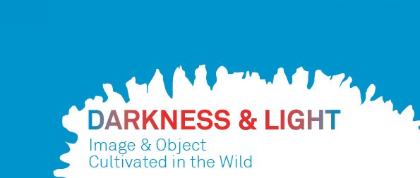 Darkness and Light: Image and Object Cultivated in the Wild, 2010 - 2011 Graduate Fellows Exhibition