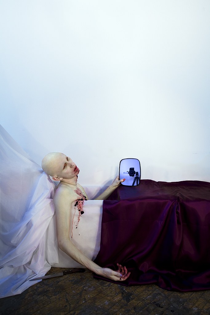 Selected Photographs and Installation, Artifice and Fragmentations Series