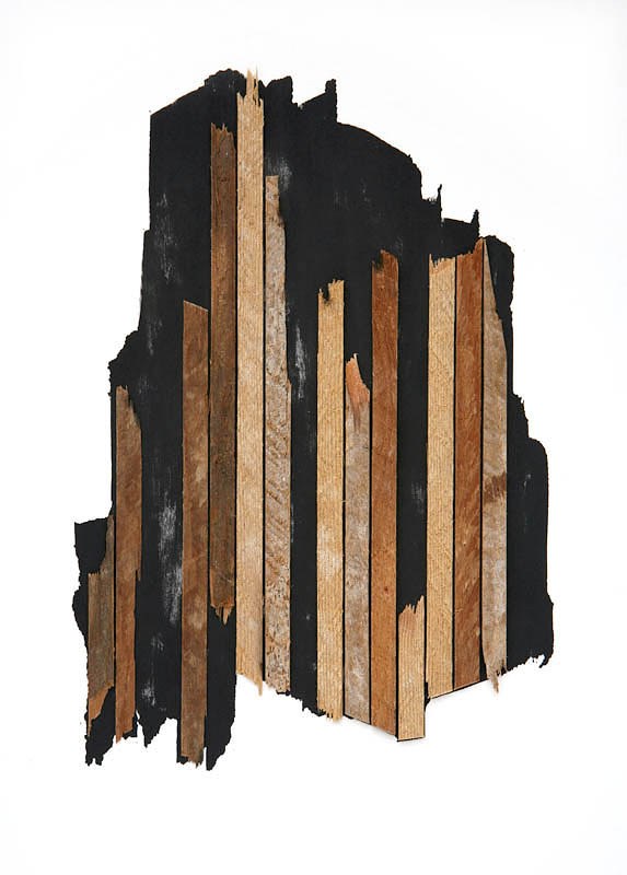 Fragments / Specimens