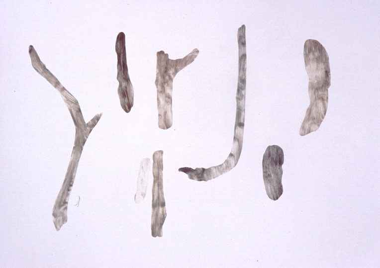 Fragments / Specimens