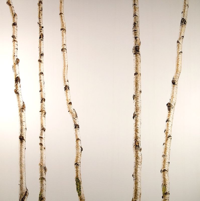 Recent Paintings Exhibition