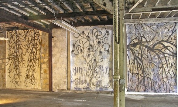 Drawings For The Dear Public