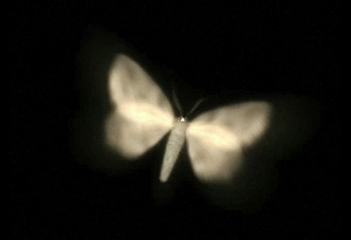 Circumscribing the Liminal
