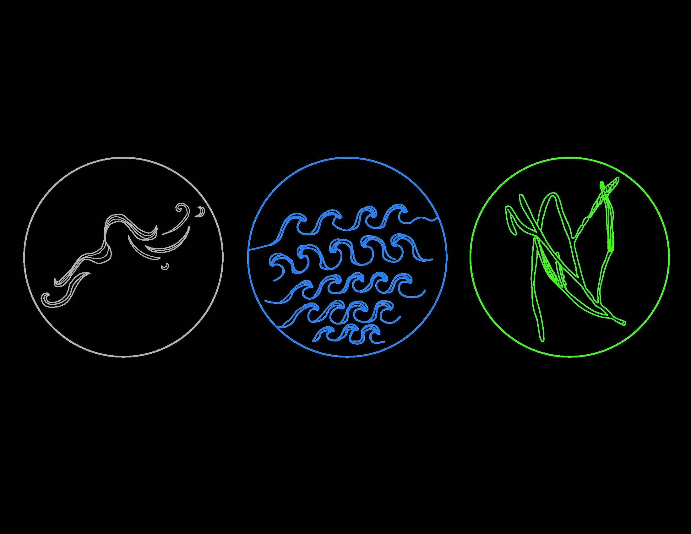 Planetary Visions