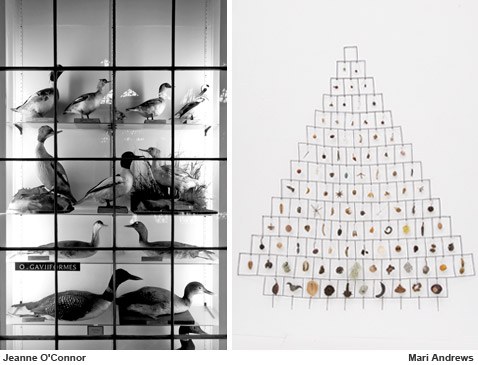 Systems of Collecting
