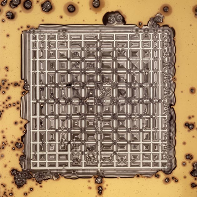 Science of Sight: Alternative Photography