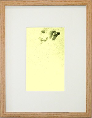 The Starling Drawings