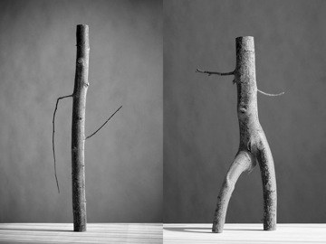 ReGeneration: Eight Contemporary Photographers Defy the Generation Gap