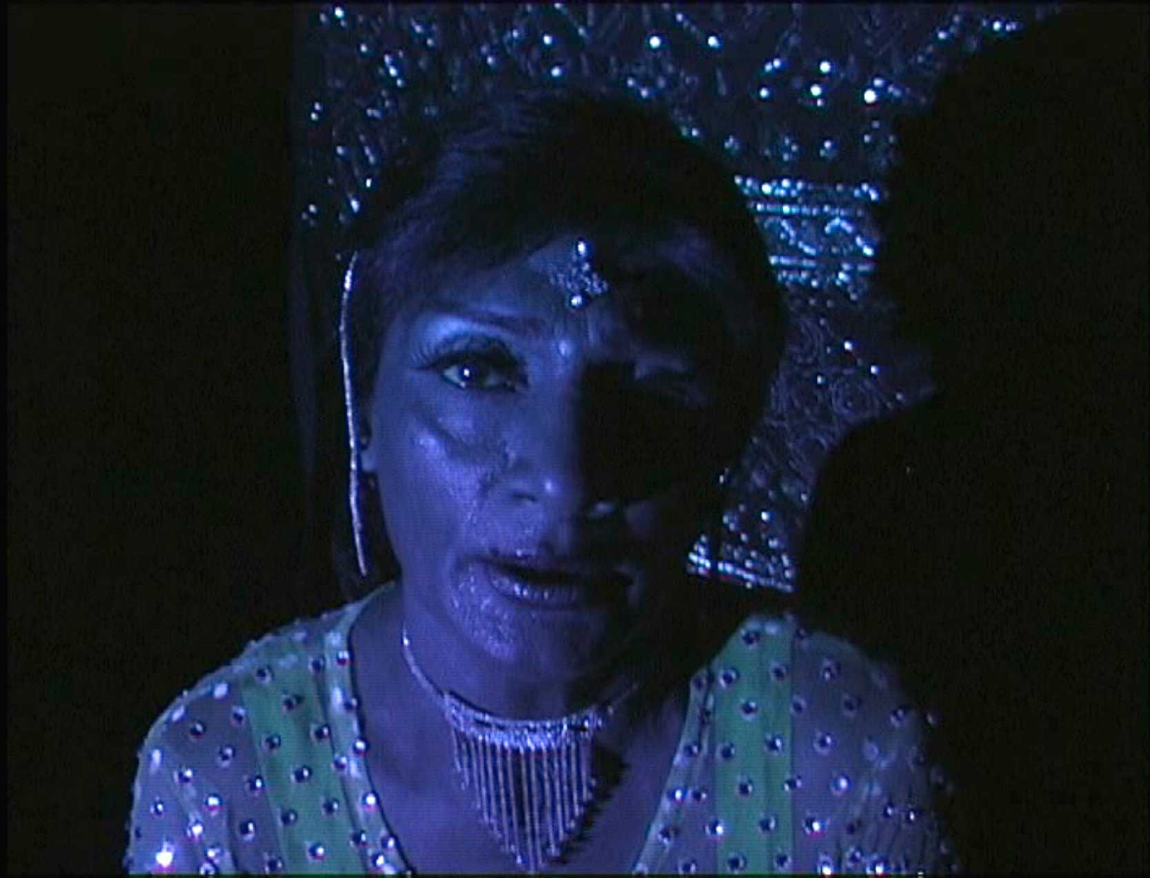 Picturing Parallax: Contemporary Photography and Video from the South Asian Diaspora