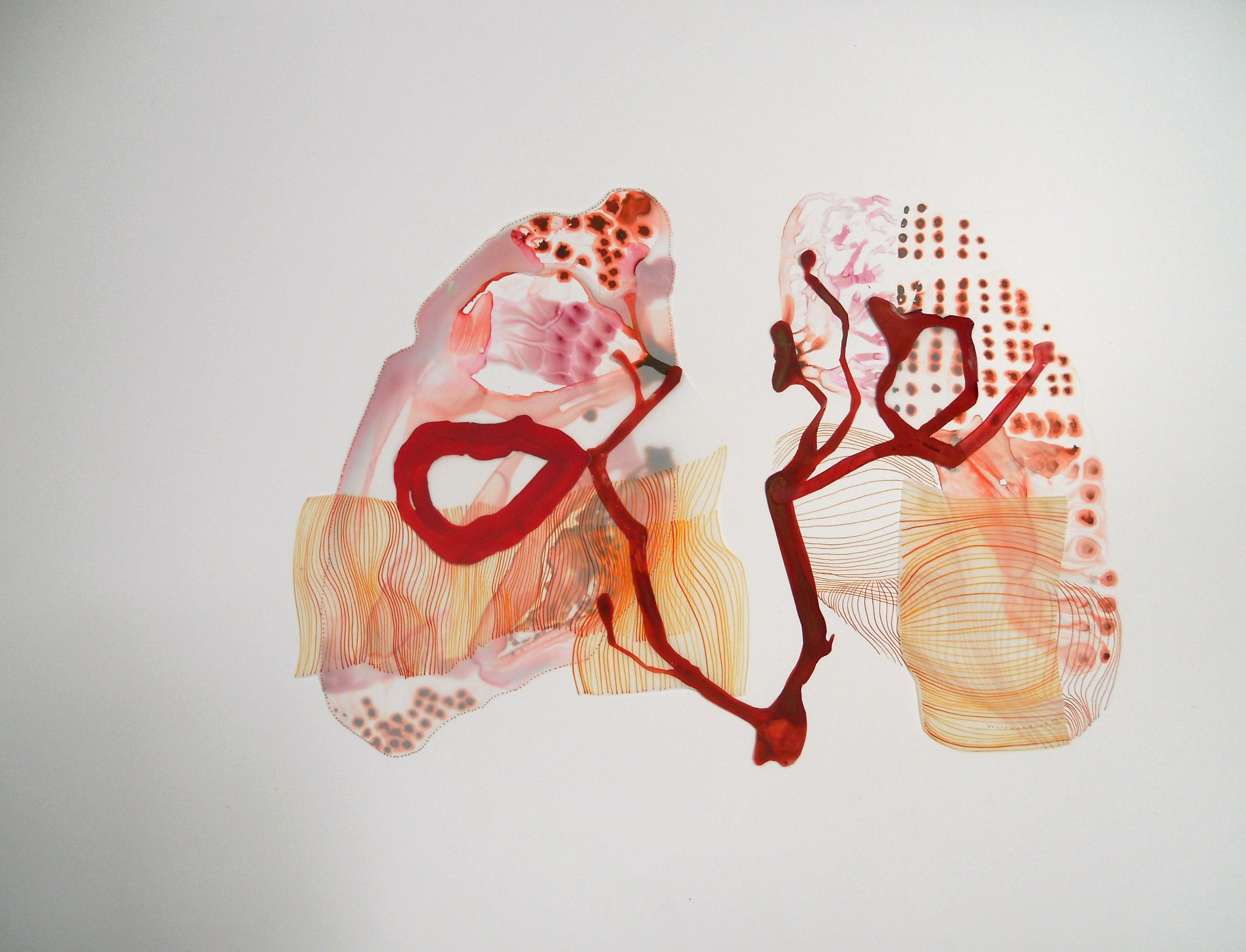 Occupied:&nbsp; The Experience of Inhabiting a Body