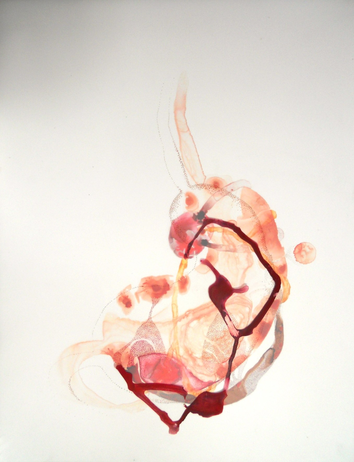 Occupied:&nbsp; The Experience of Inhabiting a Body