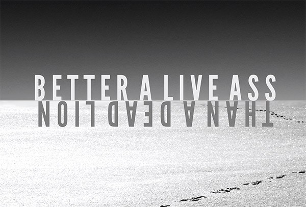 Better a Live Ass Than a Dead Lion