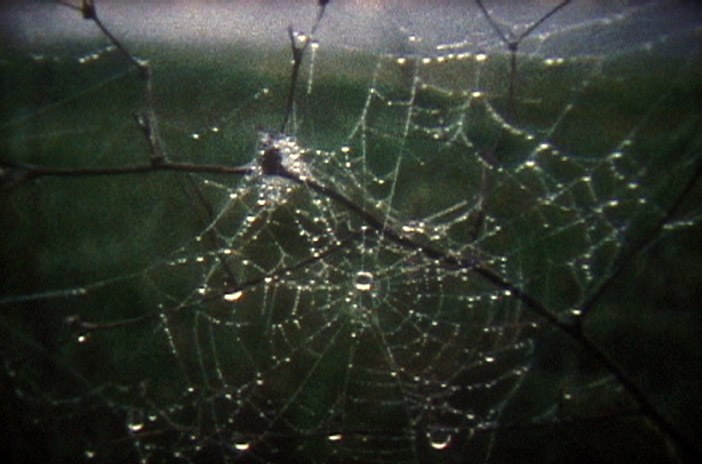 The Last Kodachrome Movie: Recent Works in Obsolete Color