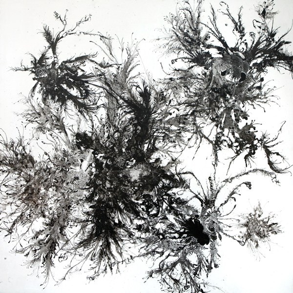 Between Wind and Water
