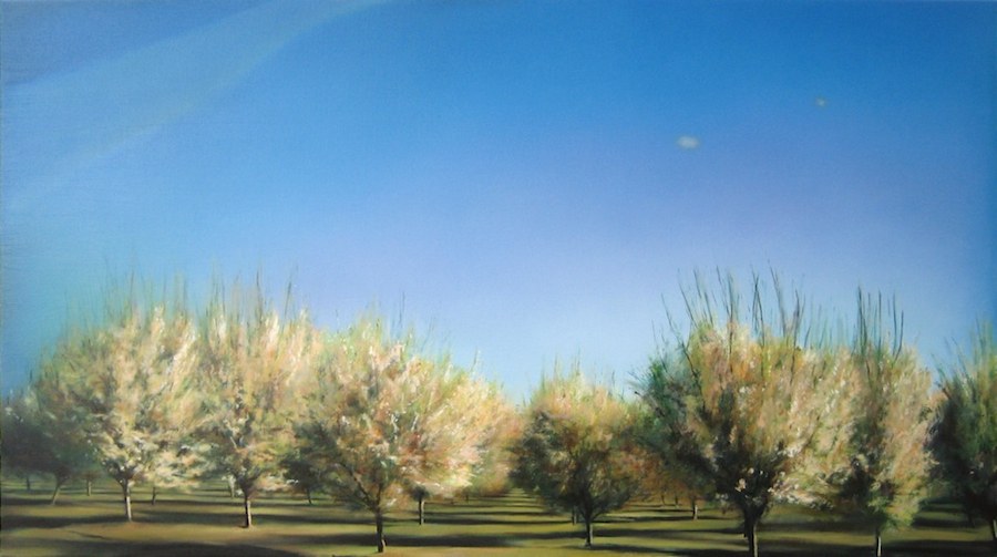 Why Paint A Landscape? Current Views & Perspectives