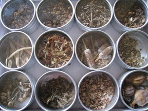 Pocket Seed Library