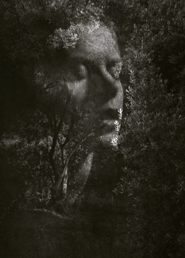 Experimental Photomontage
