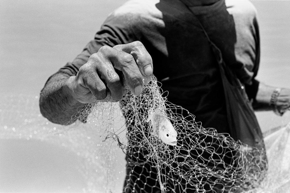 A Pesca: Commercial Fishing in Northeastern Brazil