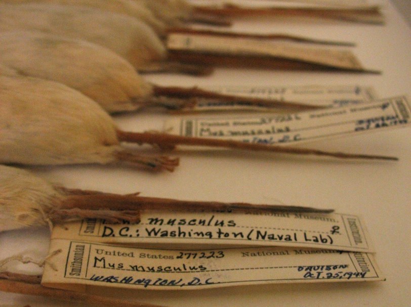 The Center for PostNatural History: An Intimate Science Discussion with Rich Pell