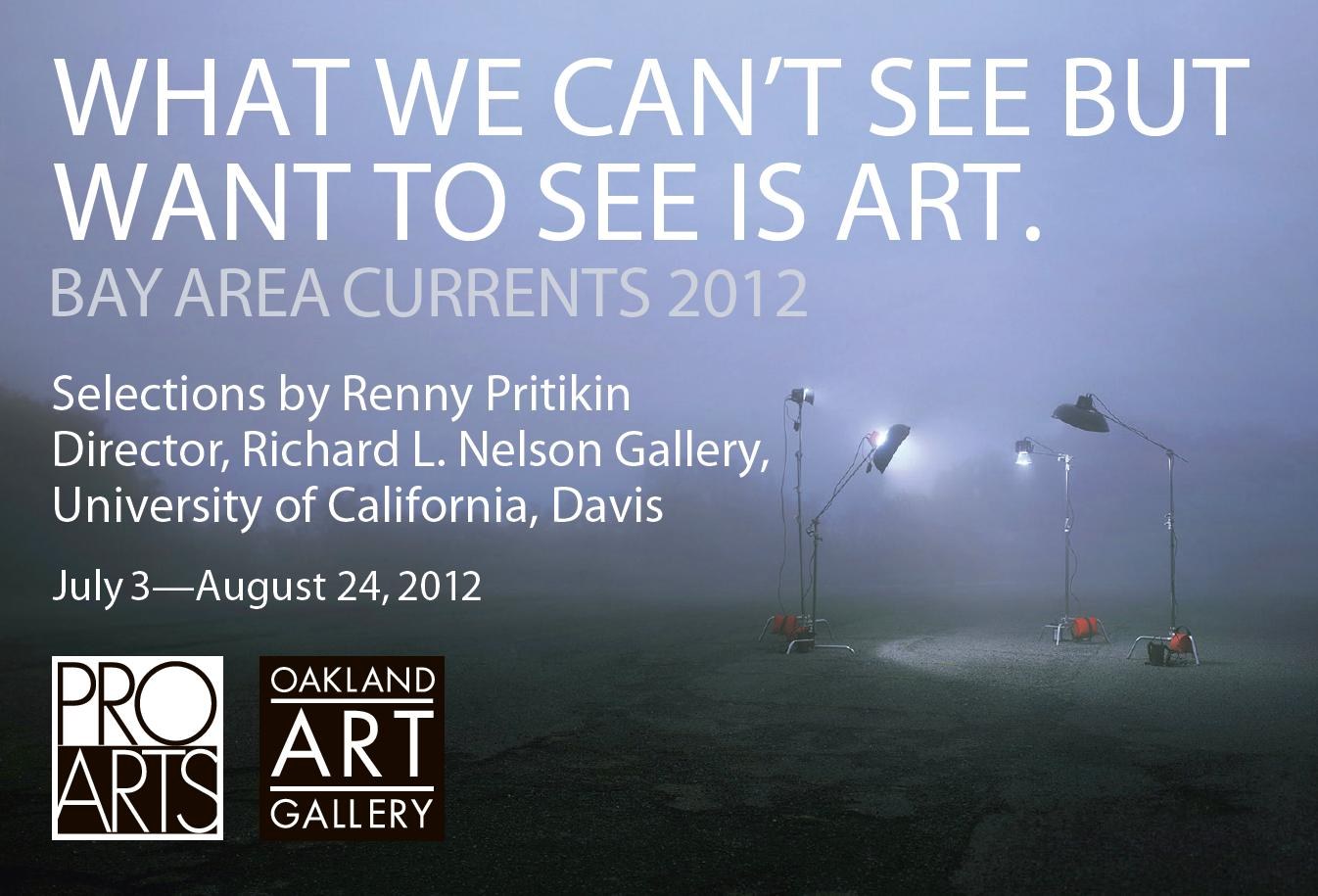 What we can’t see but want to see is art - Bay Area Currents 2012