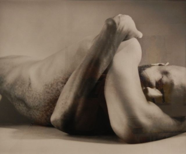 Figure, Form and Fiction