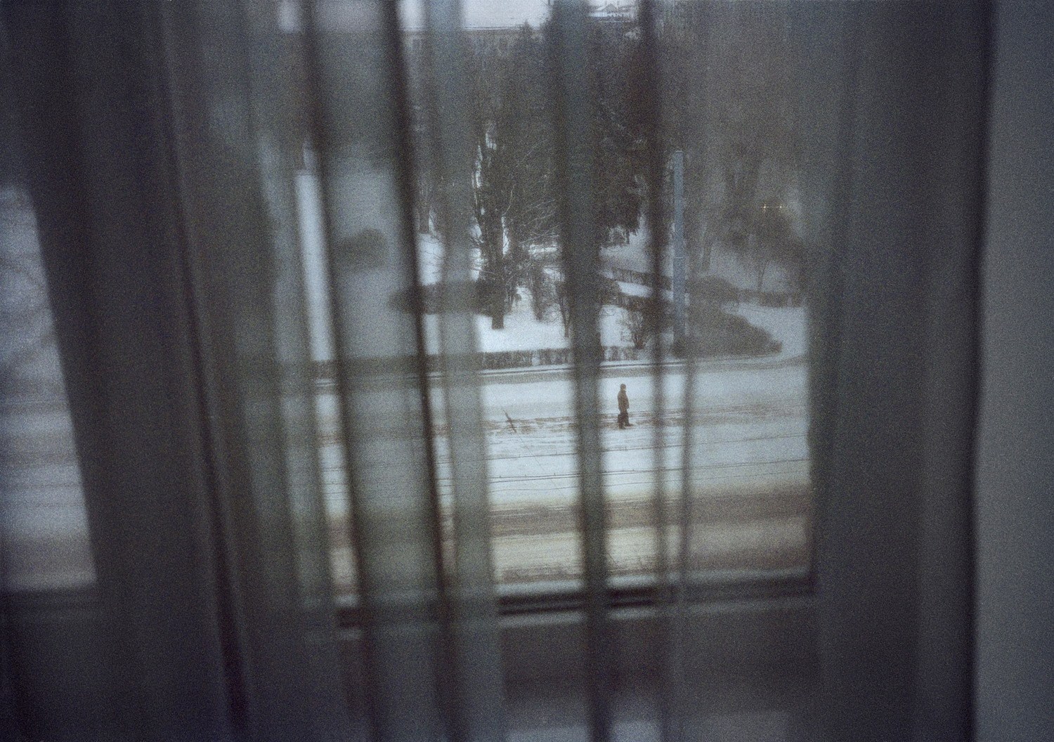 Silver Curtain