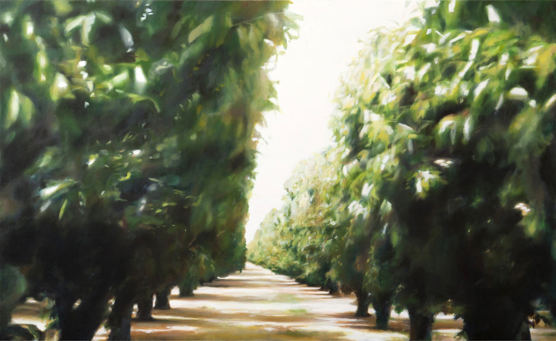 Territories - New & Recent Paintings and Photographs