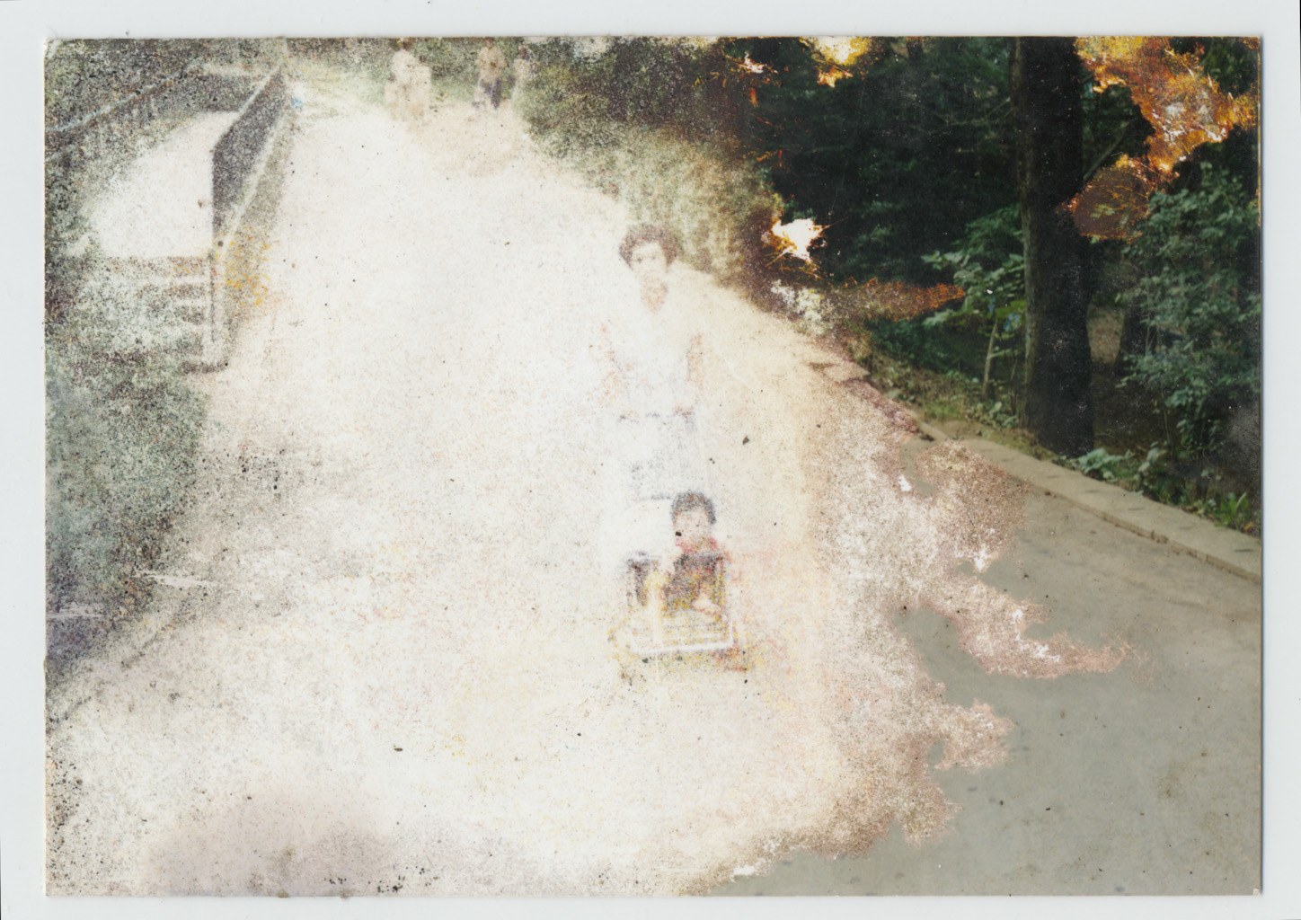 (re)collection – A collaboration with  Lost and Found: Family Photos Swept by the 3.11 East Japan Ts