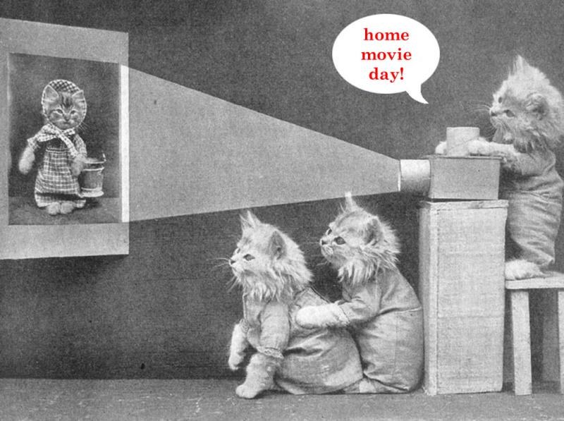 Home Movie Day Oakland