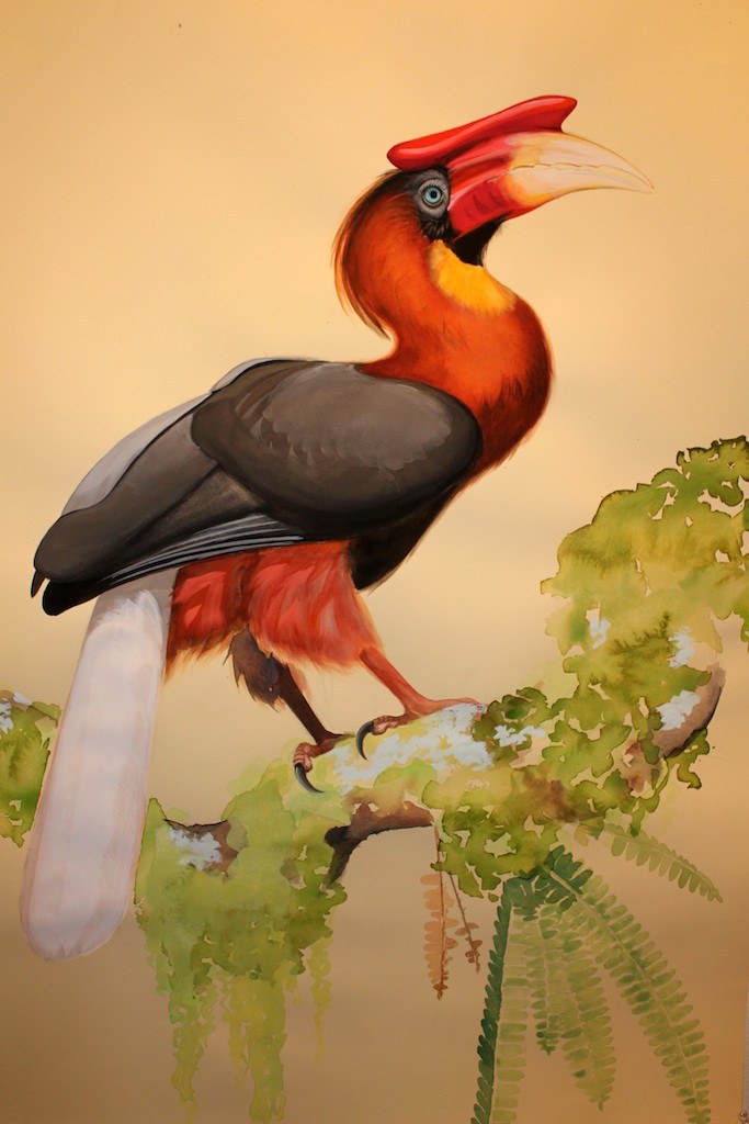 Grand Birds of the Philippines