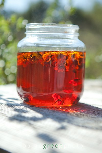 CraftBar / Natural Dye Workshop with FiberShed