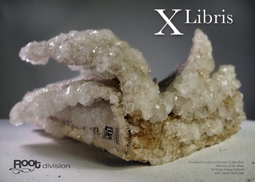 X Libris