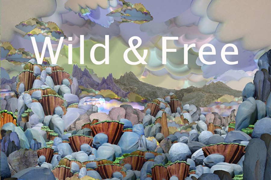 Wild & Free
