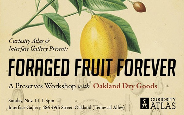 Foraged Fruit Forever!