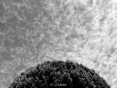 Abstract Conversations