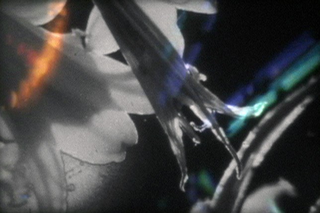 Shapeshifters Cinema presents John Davis and Joshua Churchill