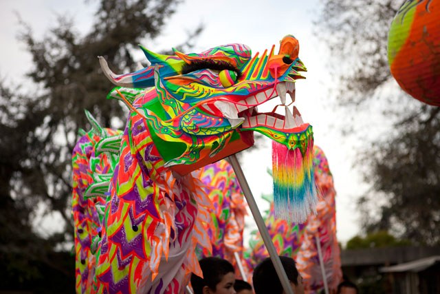 Lunar New Year Celebration and Other Asian Traditions: Year of the Snake