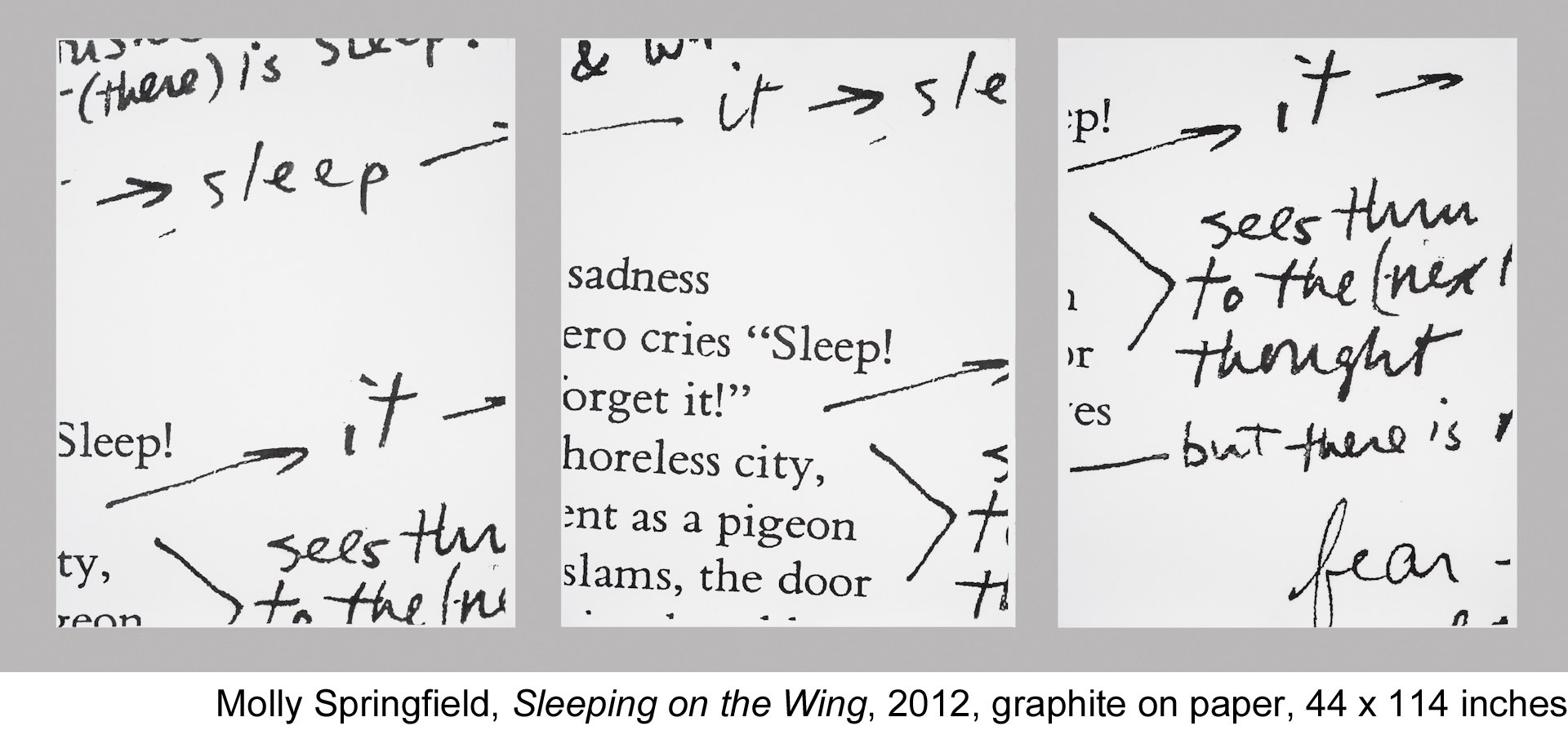 Molly Springfield, The Marginalia Archive