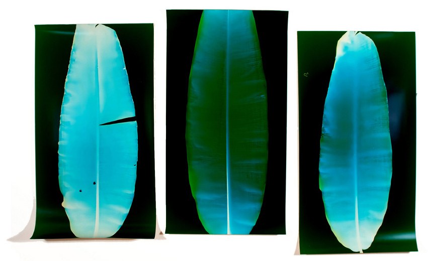 Klea McKenna: Archipelago