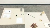 Mood Board