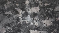Lu Chuntao: Mind Traveling